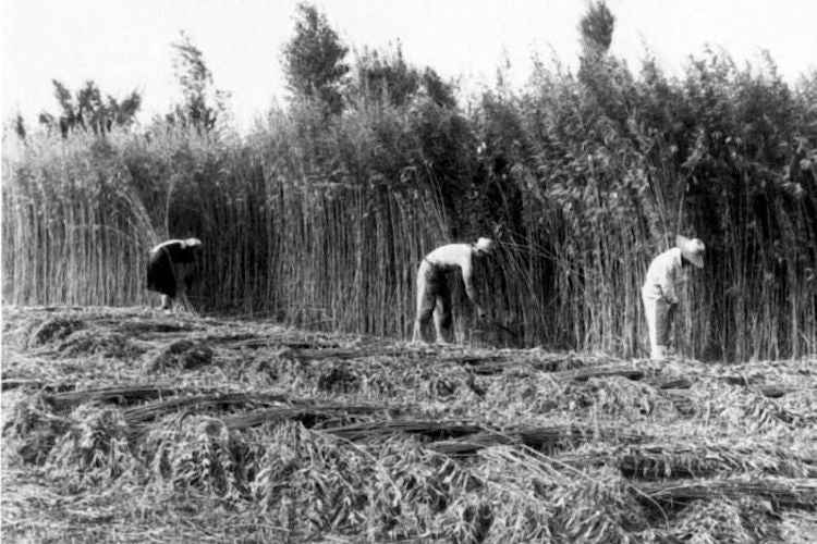 Μάρτιος 1887 Ελληνική Γεωργία